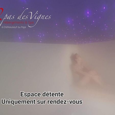 A 2 pas des vignes, hébergements et SPA à Châteauneuf du Pape, maison numéro 6 Châteauneuf-du-Pape Exterior foto